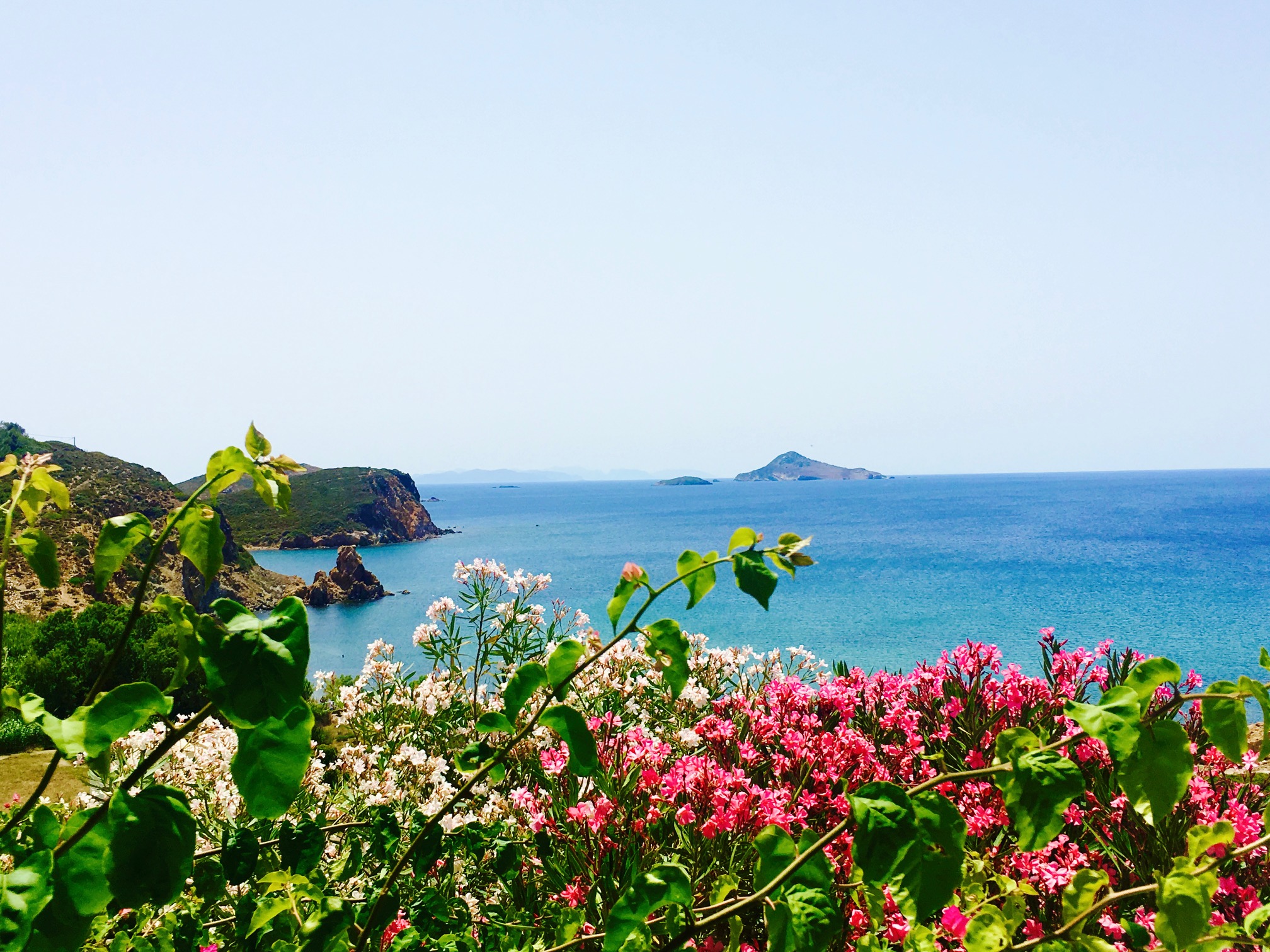 Colorful bougainvillea flowers overlooking the blue Aegean Sea on Patmos island